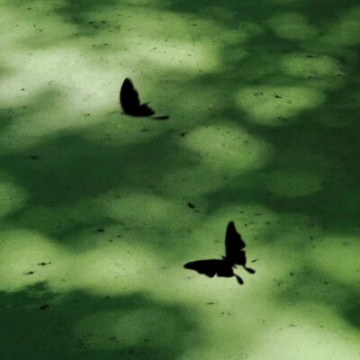 (⁎⁍̴̛ᴗ⁍̴̛⁎)