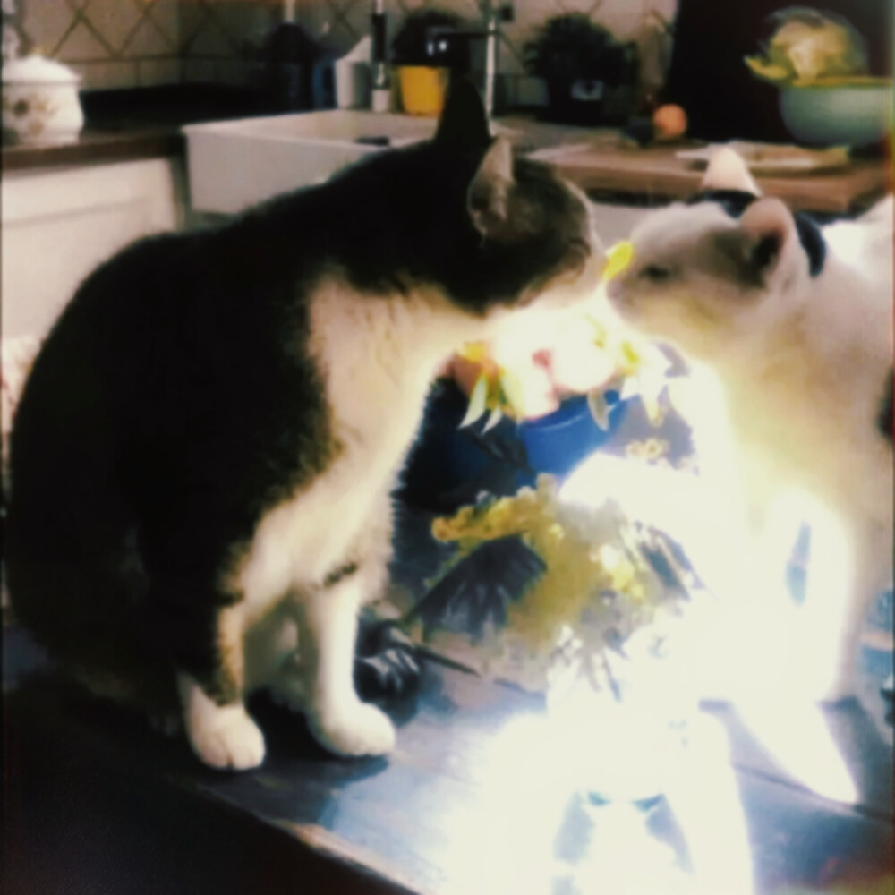 因为爱足够伟大