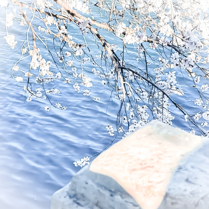 (●°u°●)​ 」