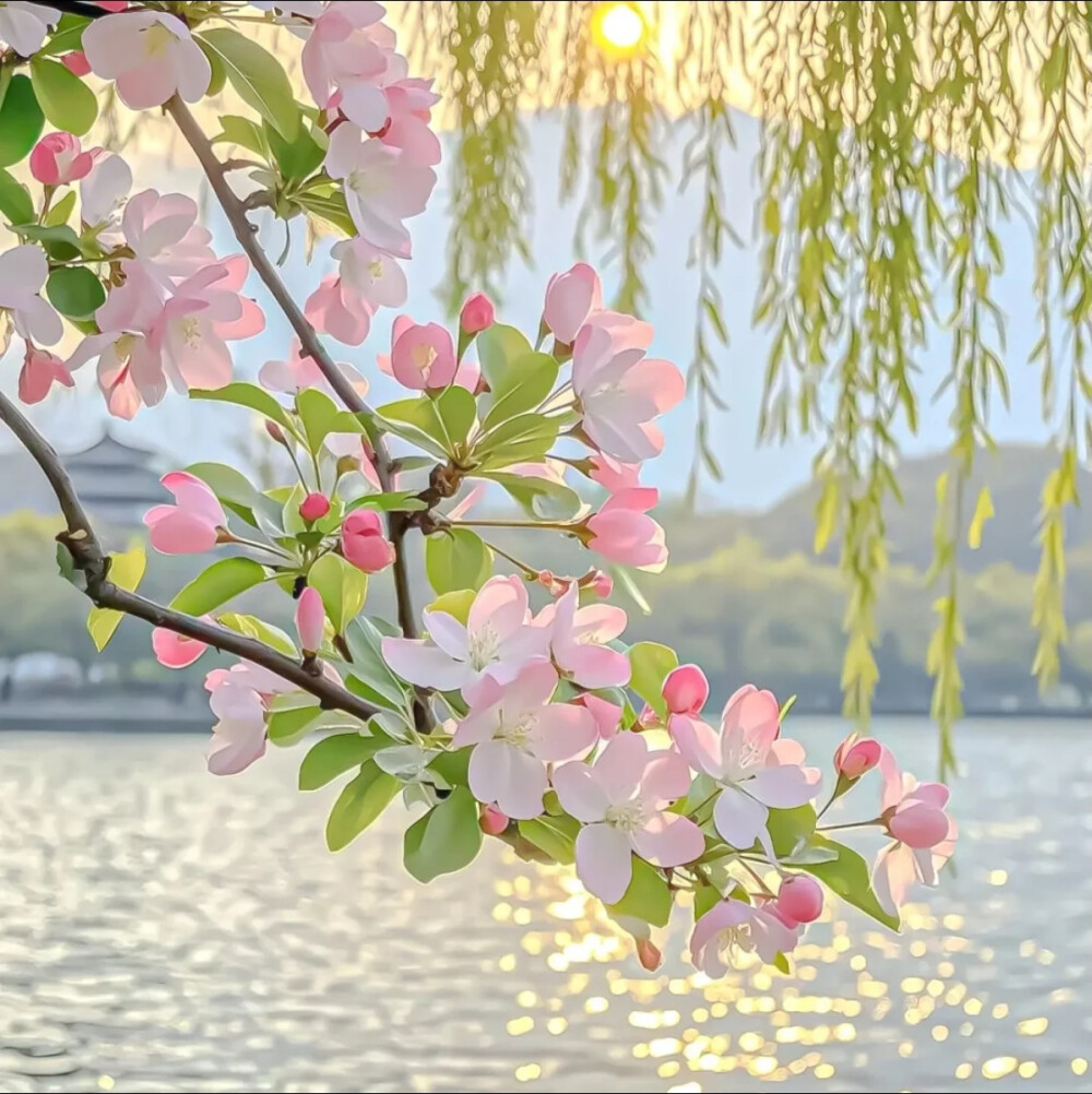 背景图