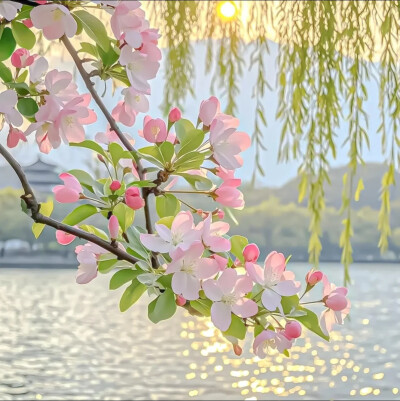 背景图