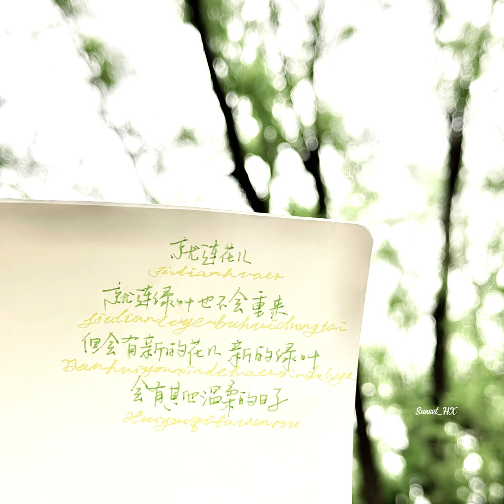 别把秘密告诉风 风会告诉整个森林