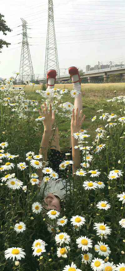自用壁纸