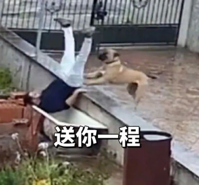 表情包