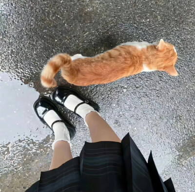 ins风手机背景图