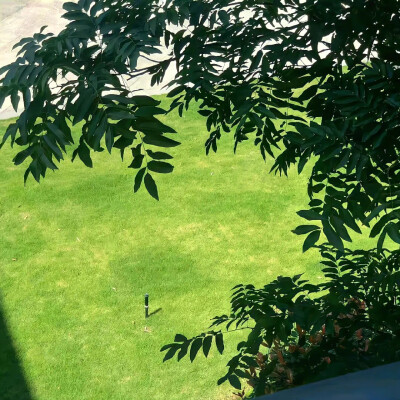 ins风手机背景图