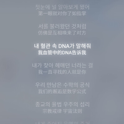 我们的邂逅是数学公式
金泰亨
cr.39xiu