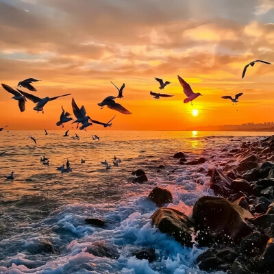 黄昏背景图