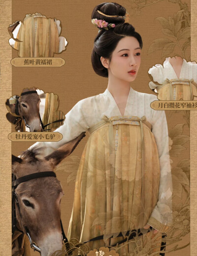 锦绣芳华