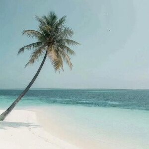 头像+背景 全套