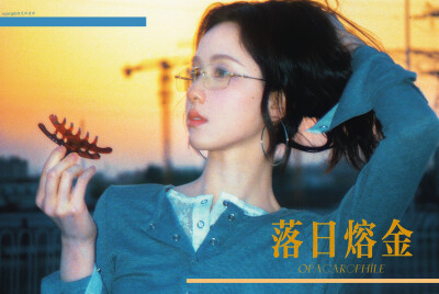 陈都灵