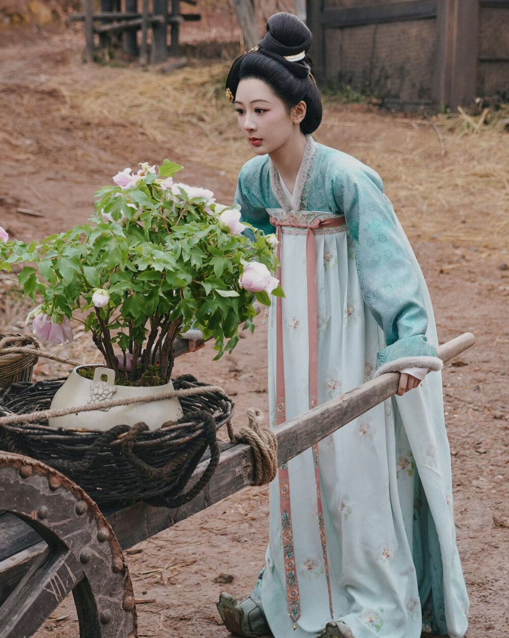 锦绣芳华