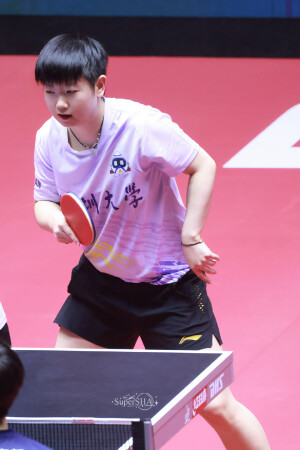 小太阳鲨鱼日记