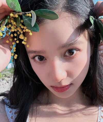 张婧仪