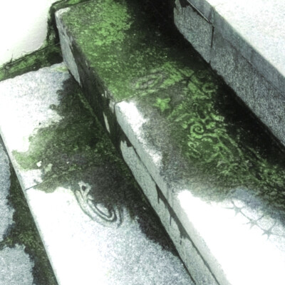 整个夏天想和你环游世界