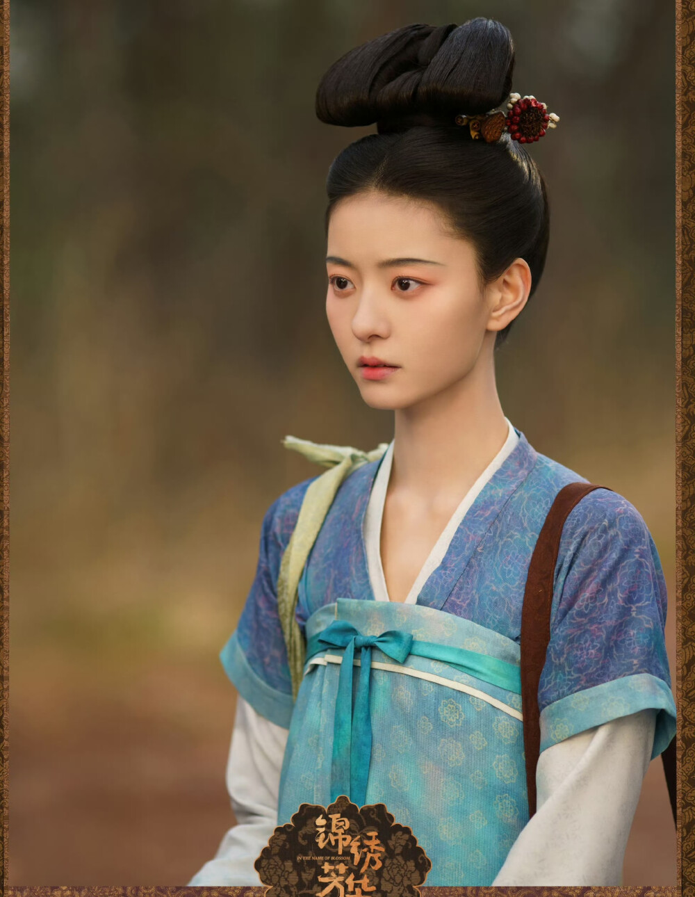 锦绣芳华