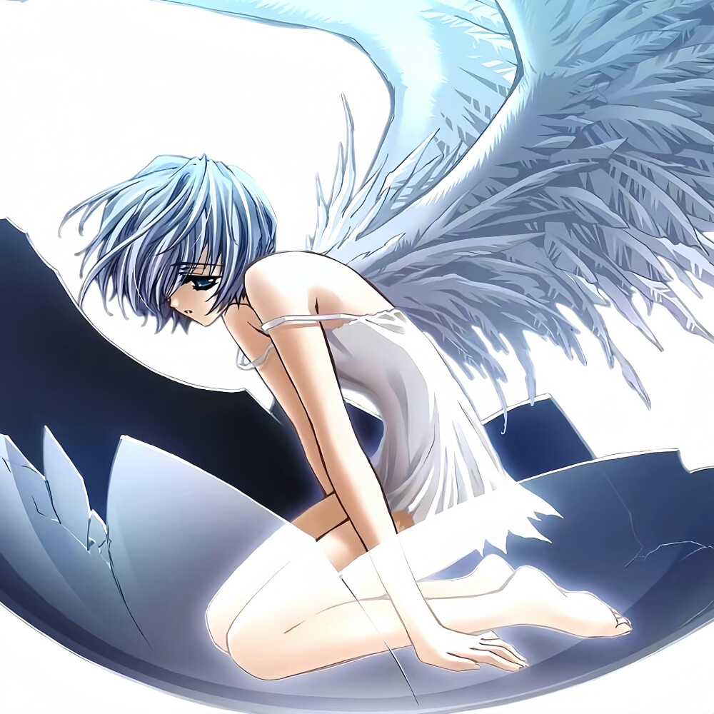 dt真夜中莉莉娜