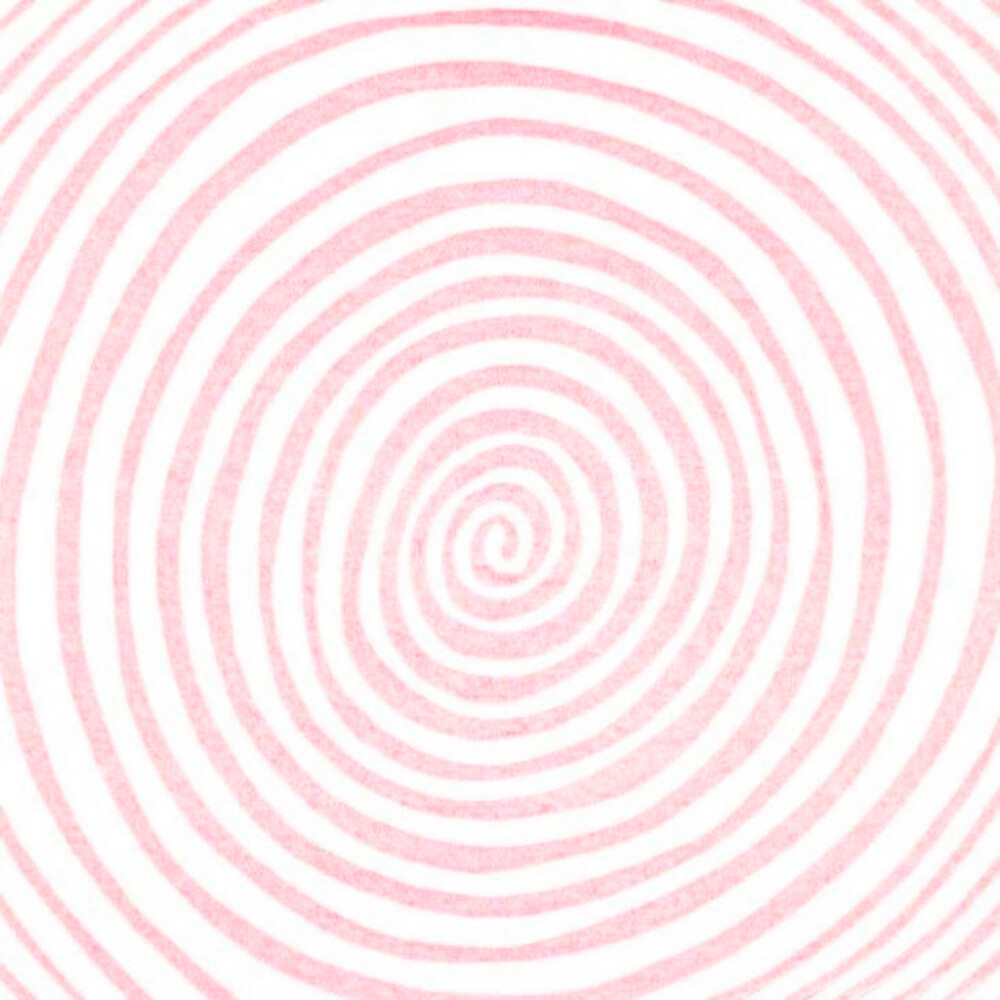 ： 。❅₊ ₊ ❅
