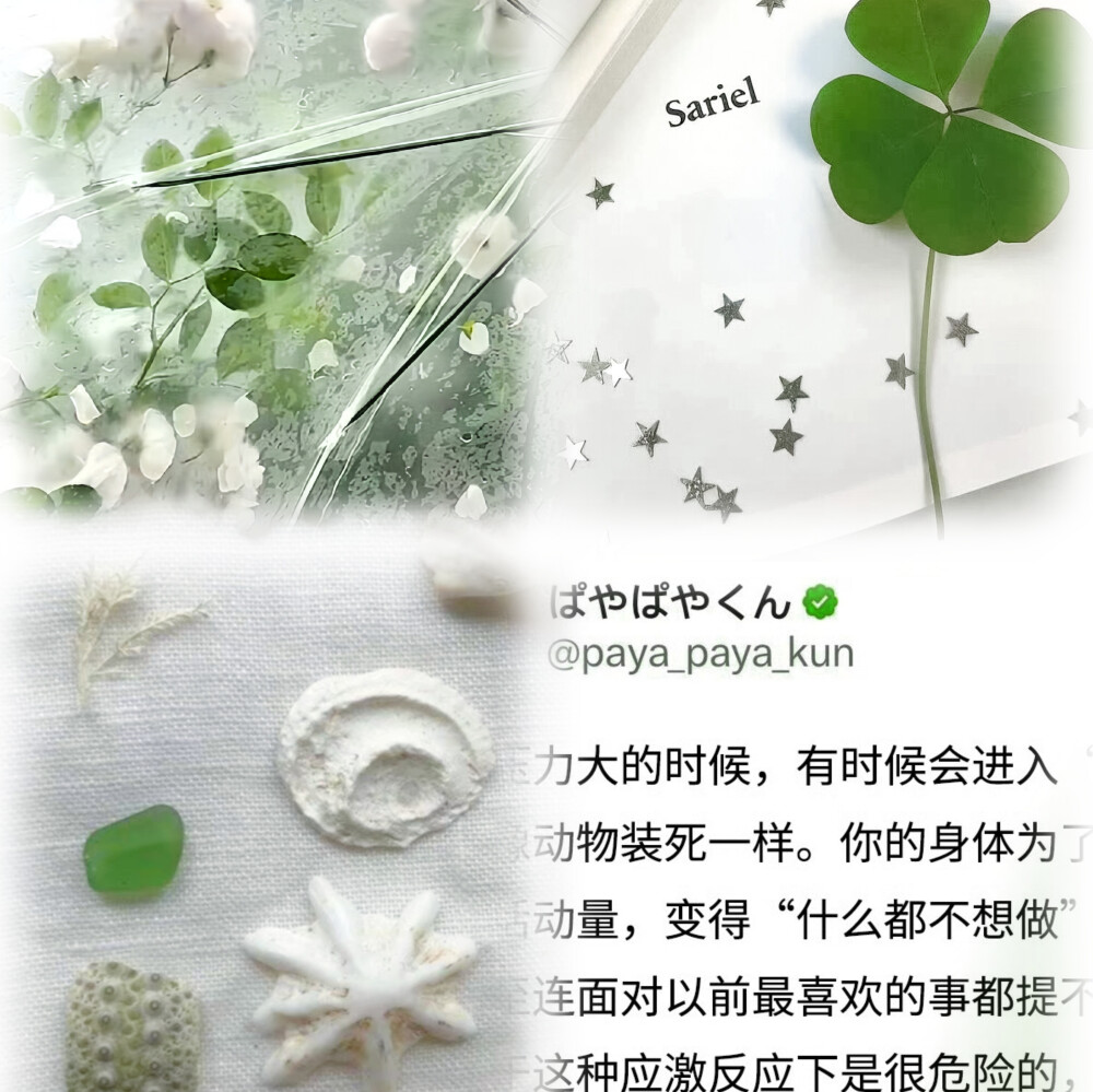 
让我们为大帅比鼓掌