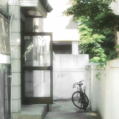 整个夏天想和你环游世界