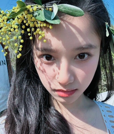 张婧仪