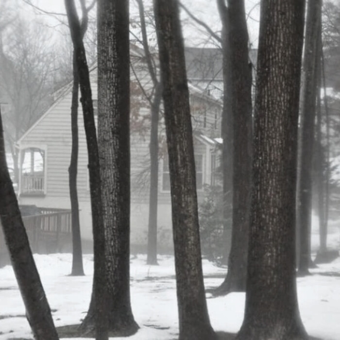 
感谢我们方麦大哥给的小脸子