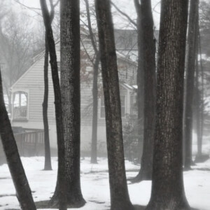 
 感谢我们方麦大哥给的小脸子