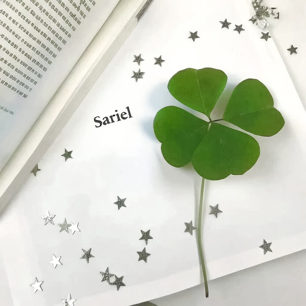 
让我们为大帅比鼓掌