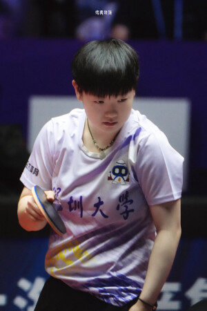 小太阳鲨鱼日记