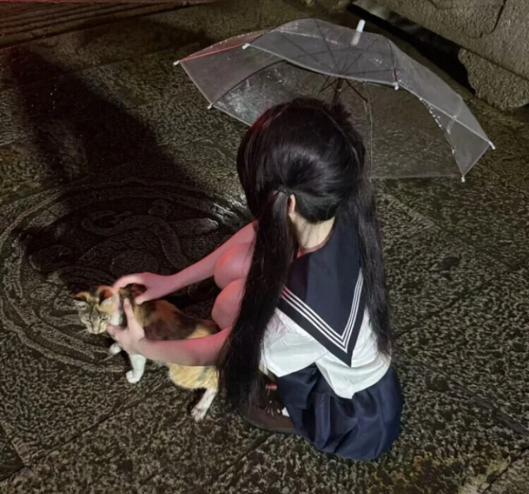 禁头像库 仅自用 除自用其他一律禁盗图4000+