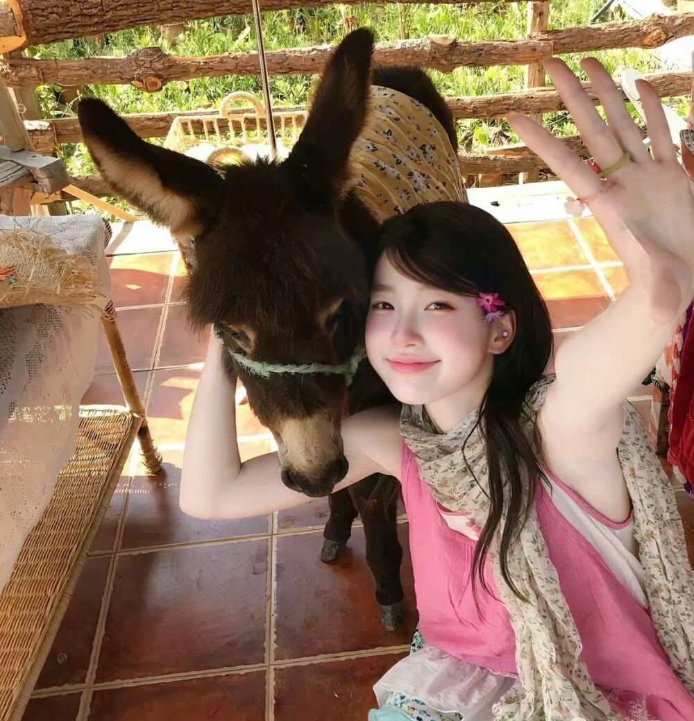 放假 中国宝宝最好的医美.