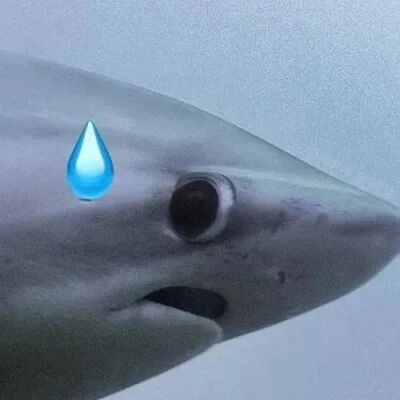表情包
