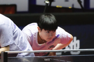 小太阳鲨鱼日记