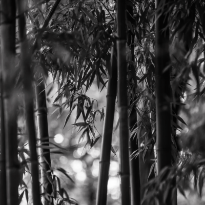 Silver ornaments 云鬓间轻晃