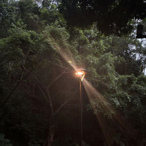 精选背景图【图图兽】