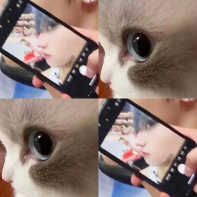 咪咪