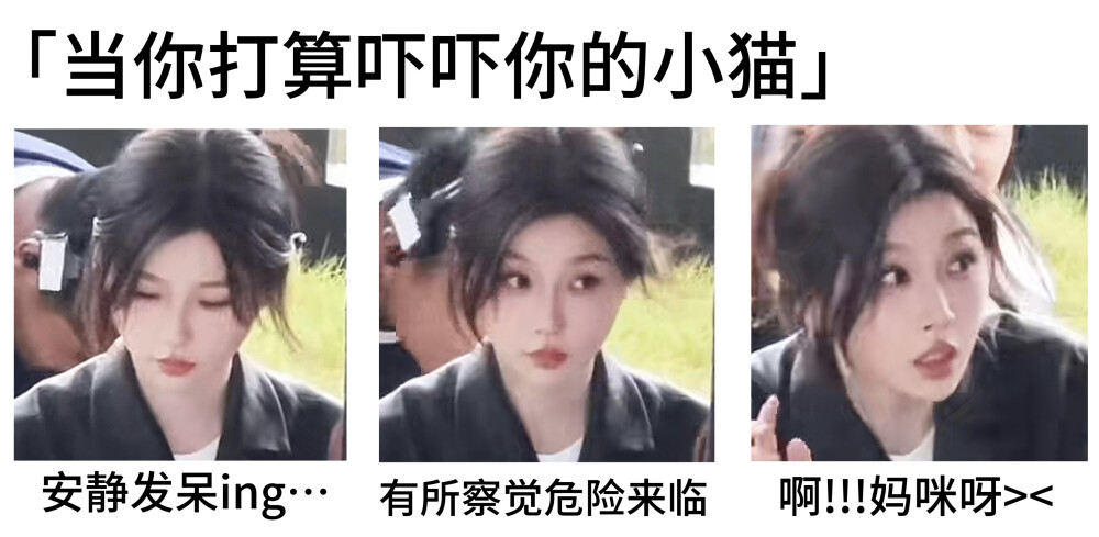 呼噜呼噜毛吓不着໒꒰ྀི ๑ᵔ ᵕ ᵔ๑ ꒱ྀིა