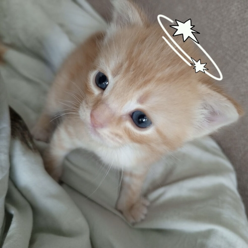 ᜊ꒰๑˃͈꒵˂͈๑꒱ᜊ 