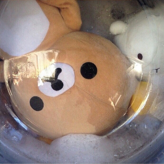 轻松熊(>^ω^<)