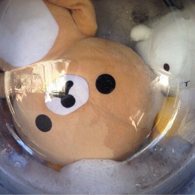 轻松熊(>^ω^<)