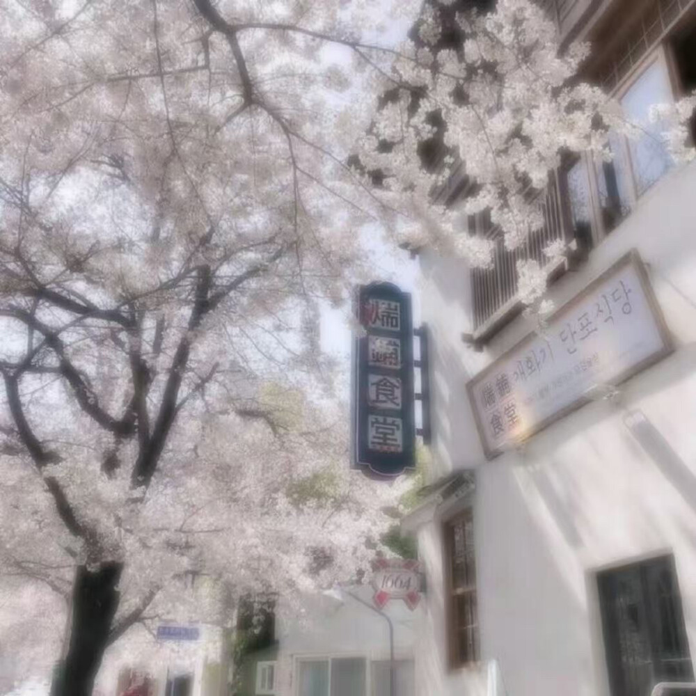 小洲黎黎给我修滴小赫赫