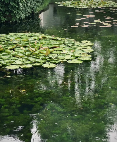 背景图