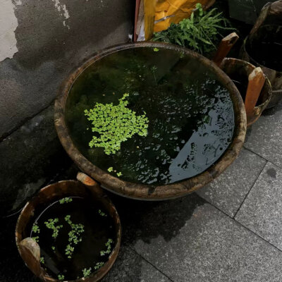背景图