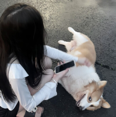 雾