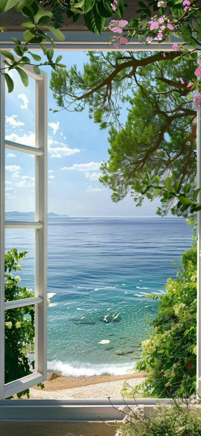 壁纸背景