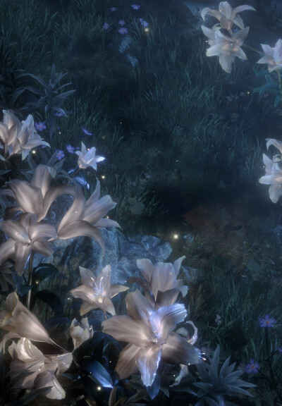 沈星回