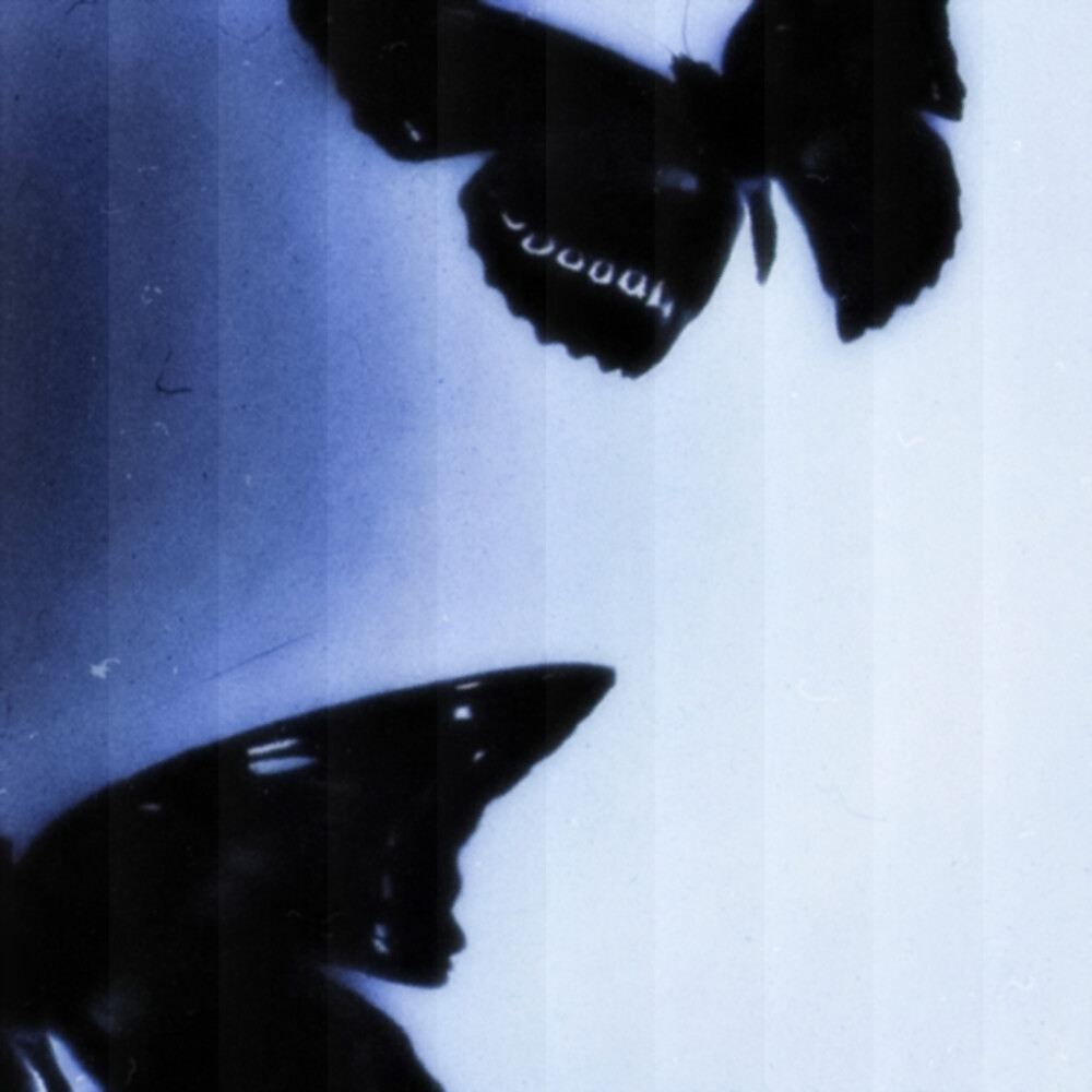 ·破碎的翅膀是第二年冬·
裴珠泫
原图cr背着杨杨跑