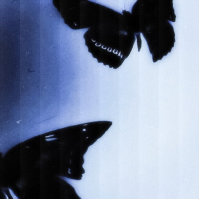 ·破碎的翅膀是第二年冬·
裴珠泫
原图cr背着杨杨跑