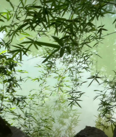 背景图