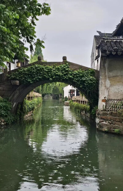 背景图